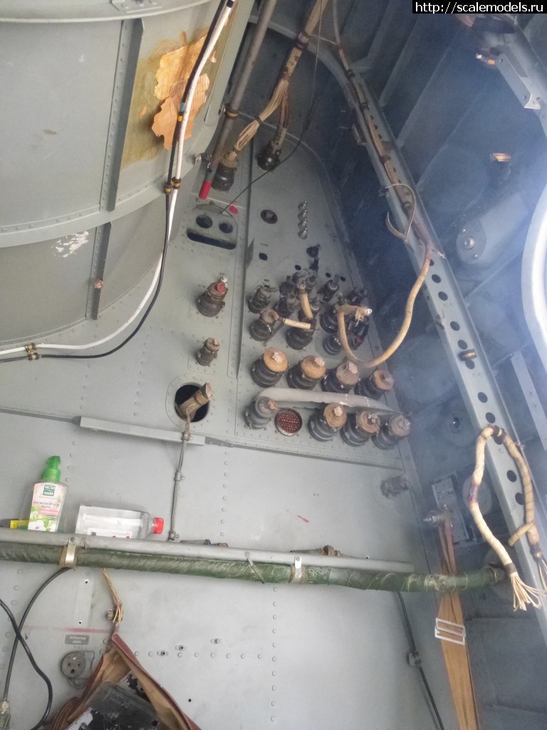 1568127557_P1320934.JPG : #1571728/ -12, -12-200, -14  