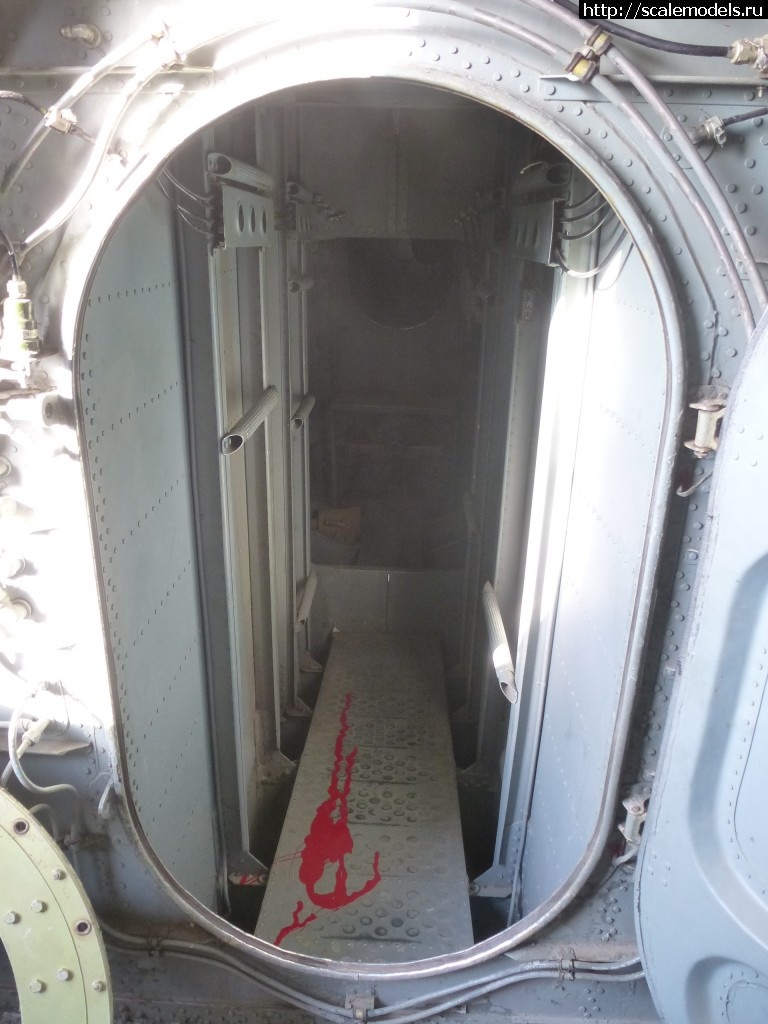 1568127789_P1320944.JPG : #1571728/ -12, -12-200, -14  