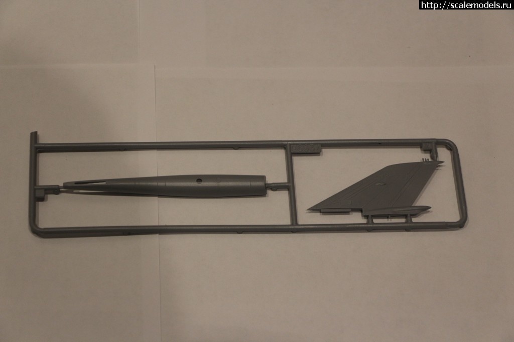 1568747551_IMG_9779.JPG : #1572901/ -21 1/72  (MksWoko/motorhead)  