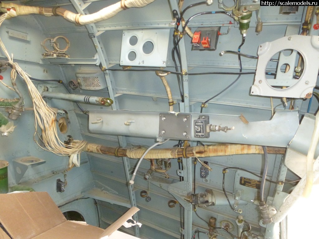 1569424074_P1320983.JPG : #1574610/ -12, -12-200, -14  