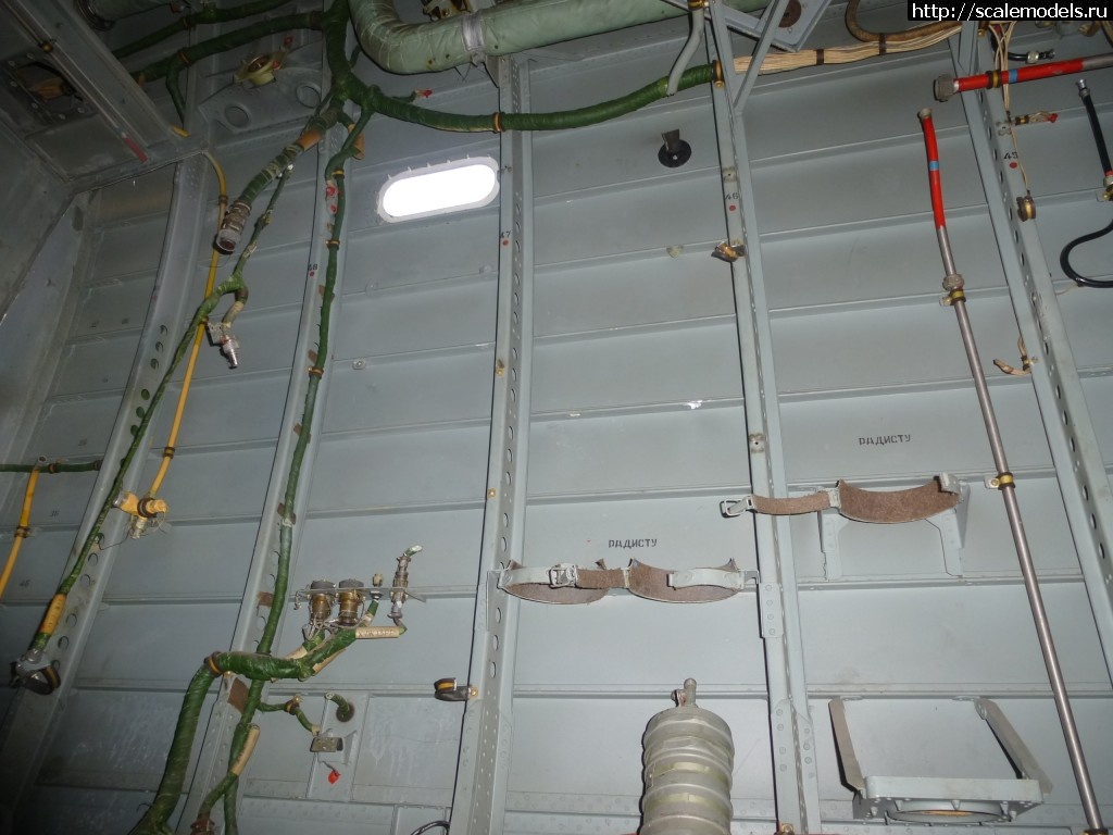 1569424156_P1320995.JPG : #1574610/ -12, -12-200, -14  