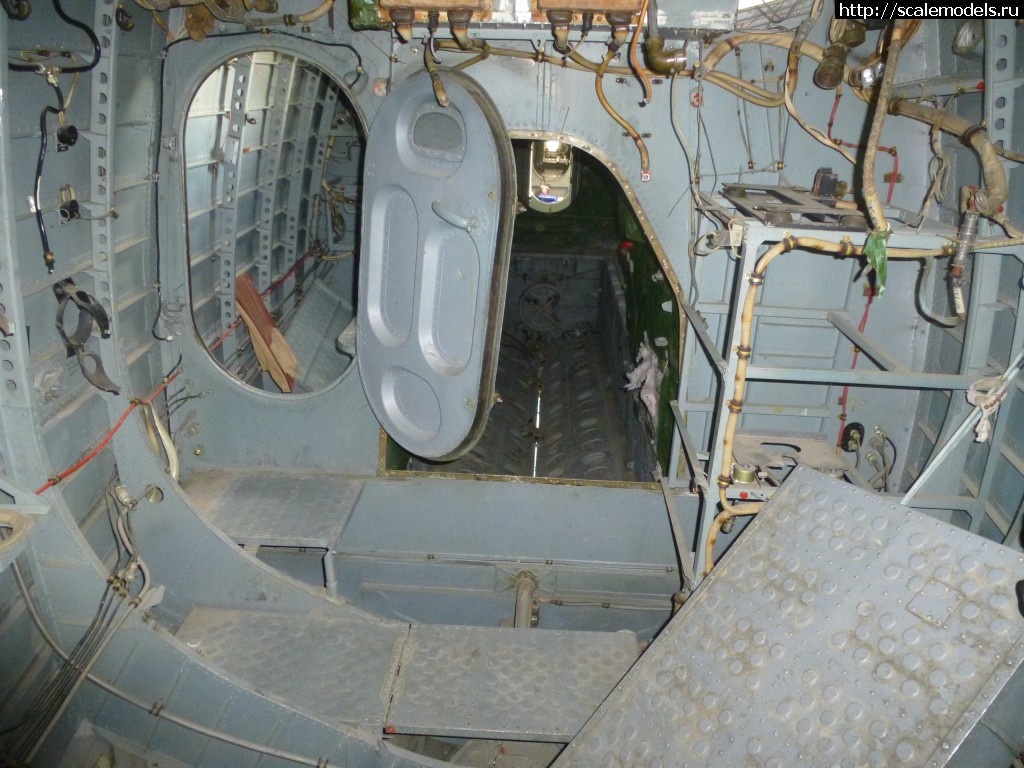 1569424161_P1320996.JPG : #1574610/ -12, -12-200, -14  