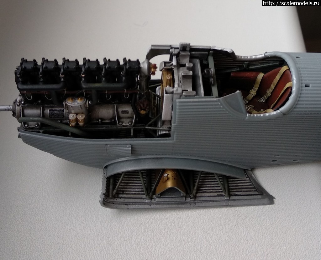 1571889668_47.jpg : #1580462/ Wingnut Wings Junkers D.1 1/32  