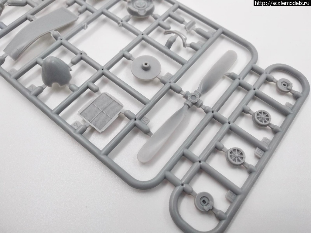 1574337556_IMG_20190926_141441-jpg-81fa1971433b499b0b5085c6f147ab77.jpg :  1/48 -51 Mustang/  1/48 -51 Mustang(#14436) -   