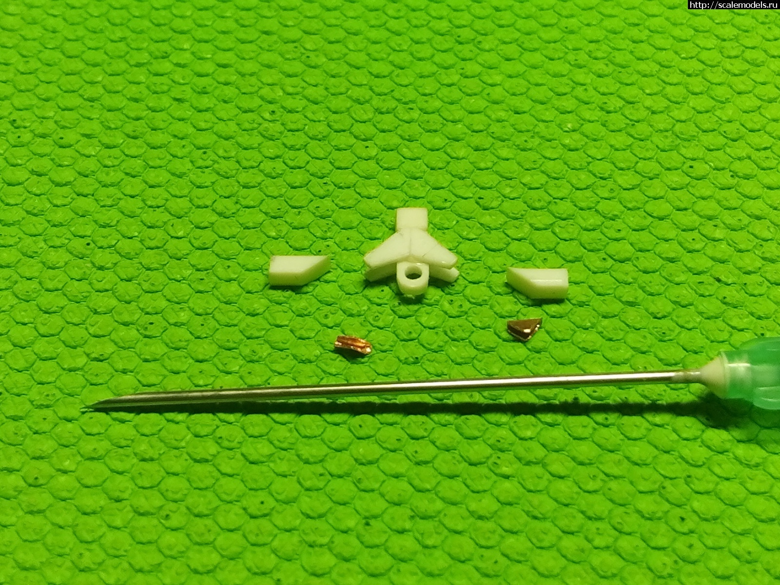 1577531596_91.jpg : #1591928/      1569 -   