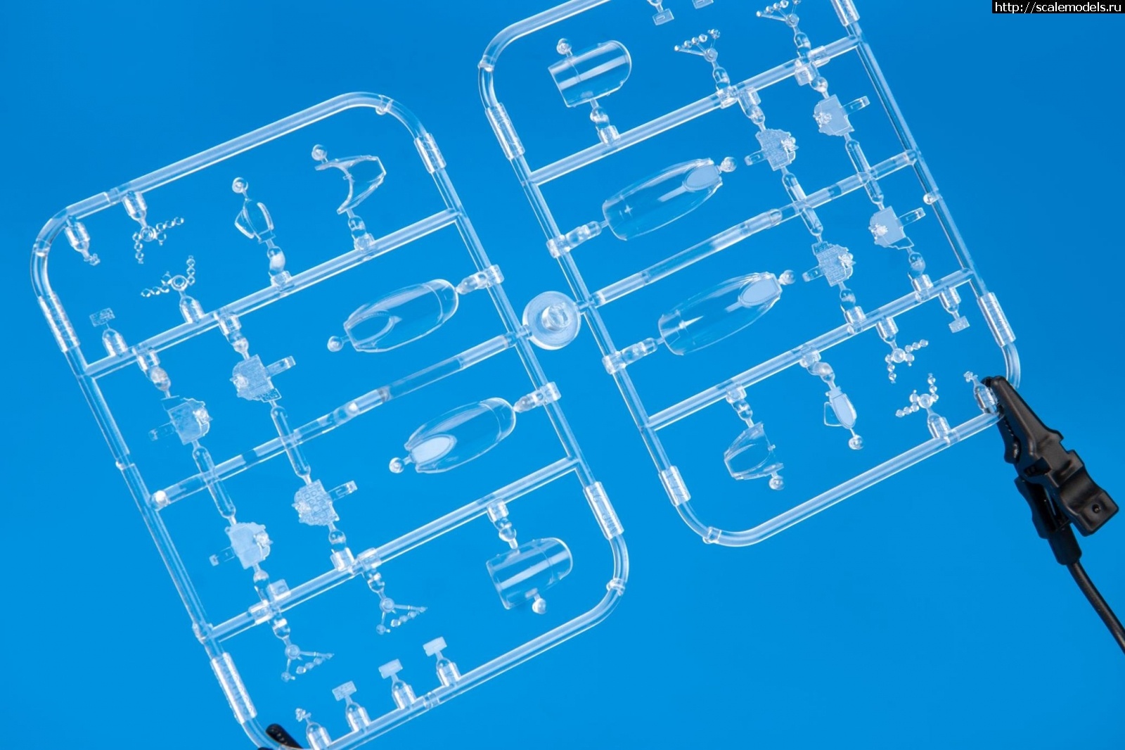 1577702464_80550721_3110005835681009_6950203914763370496_o.jpg :   