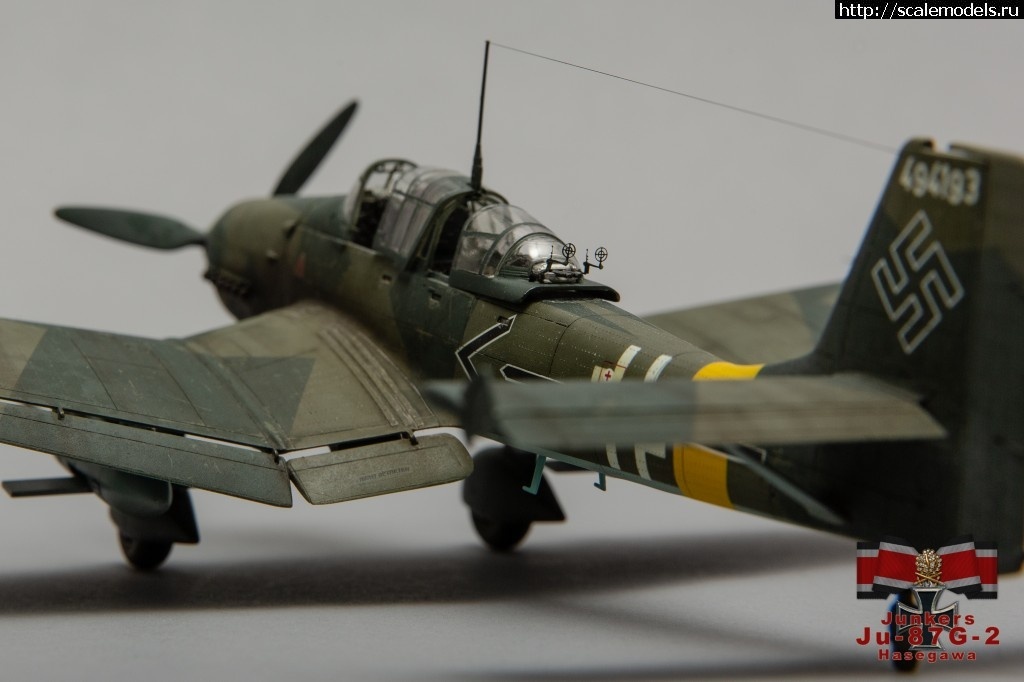 1581972890_1567982877_XQ3A3901.jpg :     -  1/48  
