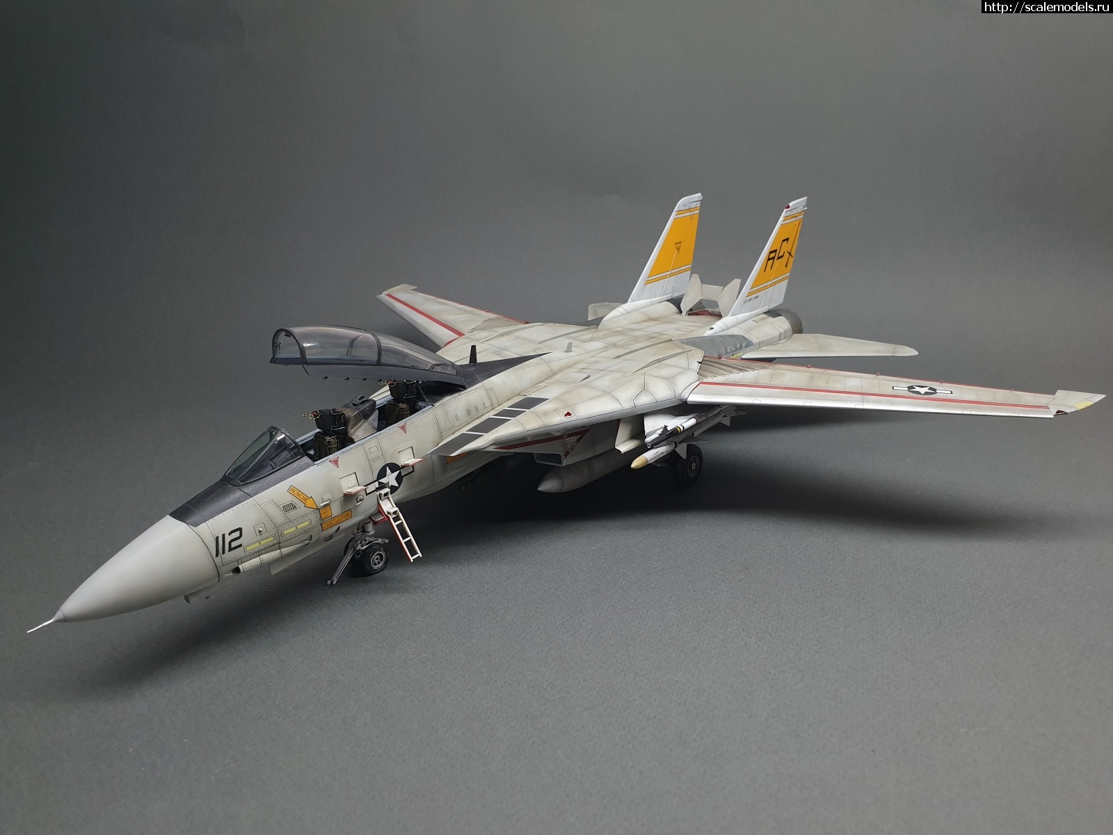 1585824396_20200402_131046.jpg : #1610490/ F-14B Tomcat 1/48 Hobby Boss - !  