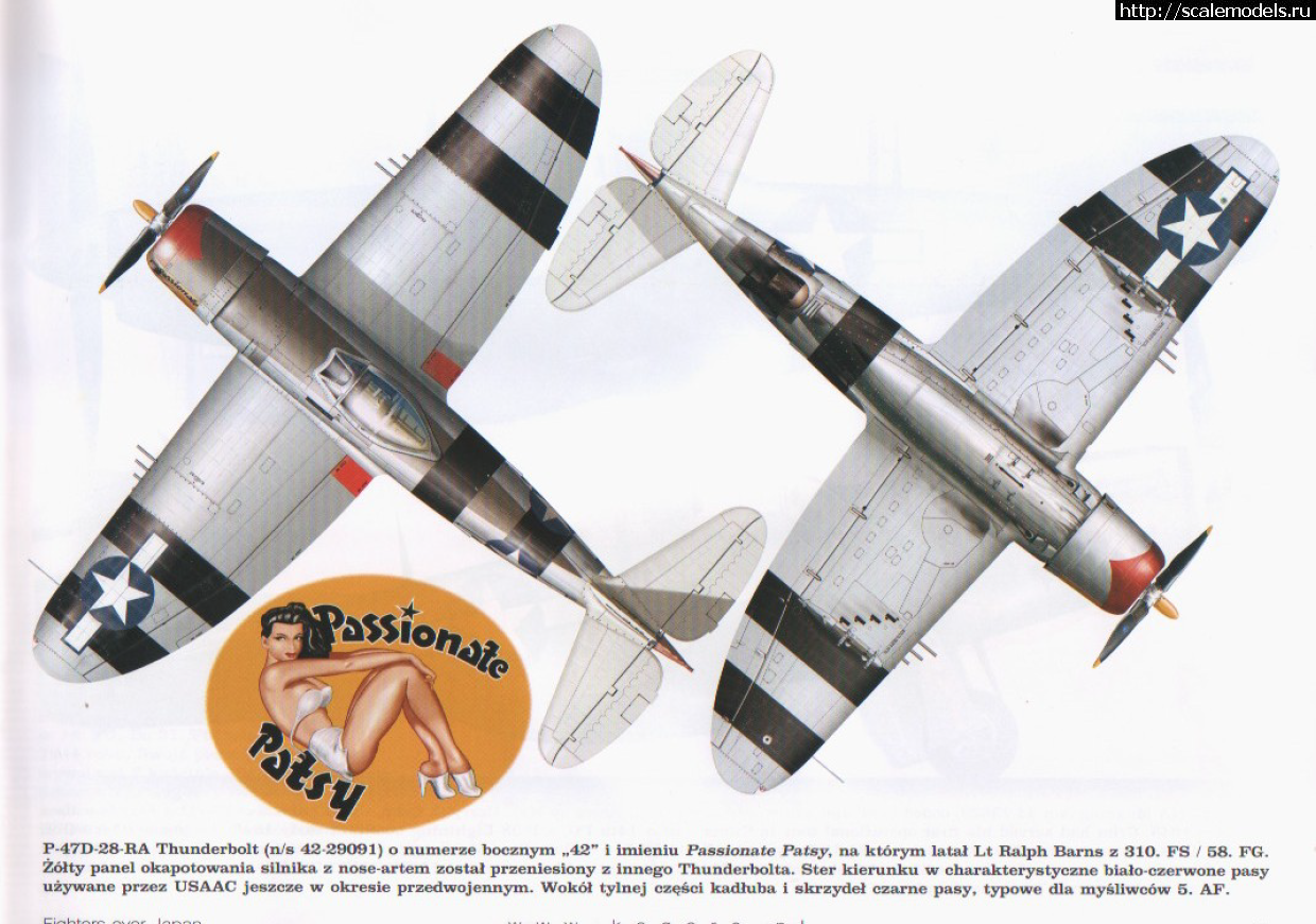 1588088751_28-ra-2-.png : #1615731/ Tamiya 1/48. P-47D Thunderbolt, ...(#14143) -   