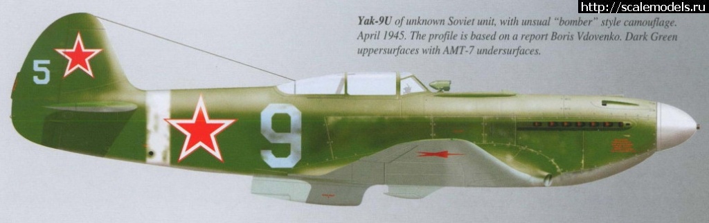 1593593044_2020-07-01_104002.jpg : #1629174/ -9 1/72 Amodel    