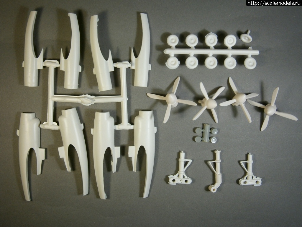 1596721062_15.JPG : #1635271/ ���� � ���������(#7095) - ���������� ������� ����