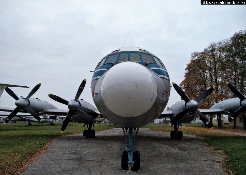 1596735711_image-4736.jpg : #1635304/ ���� � ���������(#7095) - ���������� ������� ����