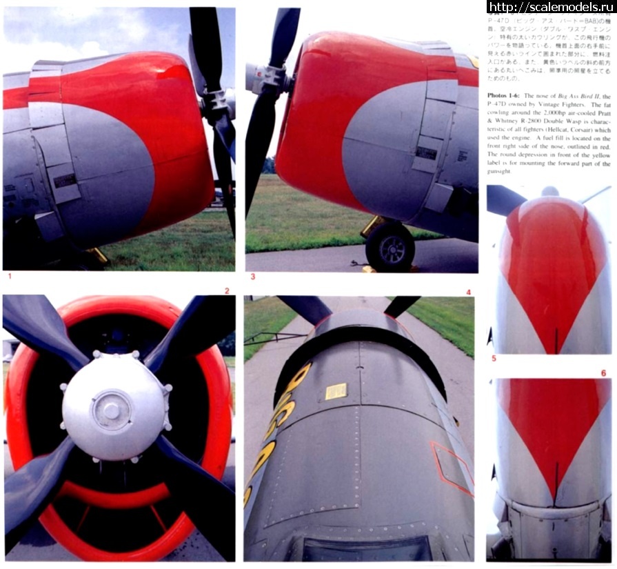 1596991630_1-d-kapot-146.jpg : Tamiya 1/48 P-47D.Thunderbolt.   . 2.  