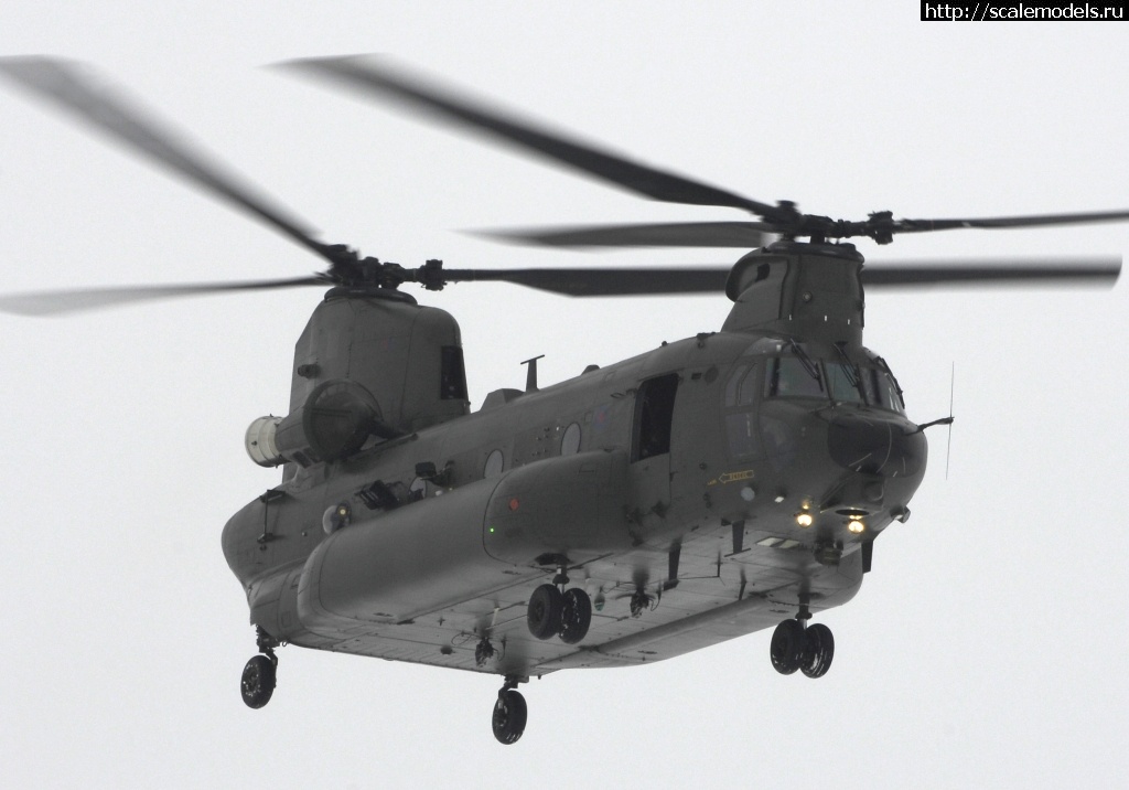 1598203378_Chinook_Mk_3_MOD_45150983.jpg : #1638174/  Ch-47 Chinook  