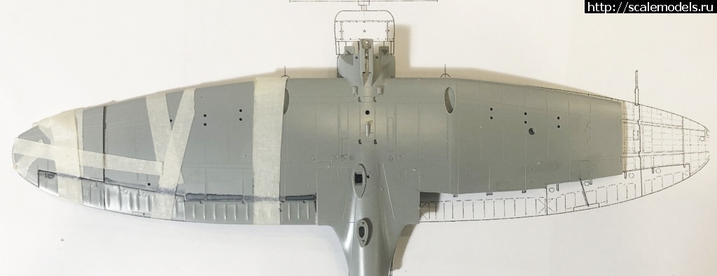 1599416892_krylo-raspil.jpg : #1640525/  D3A1  1/72  