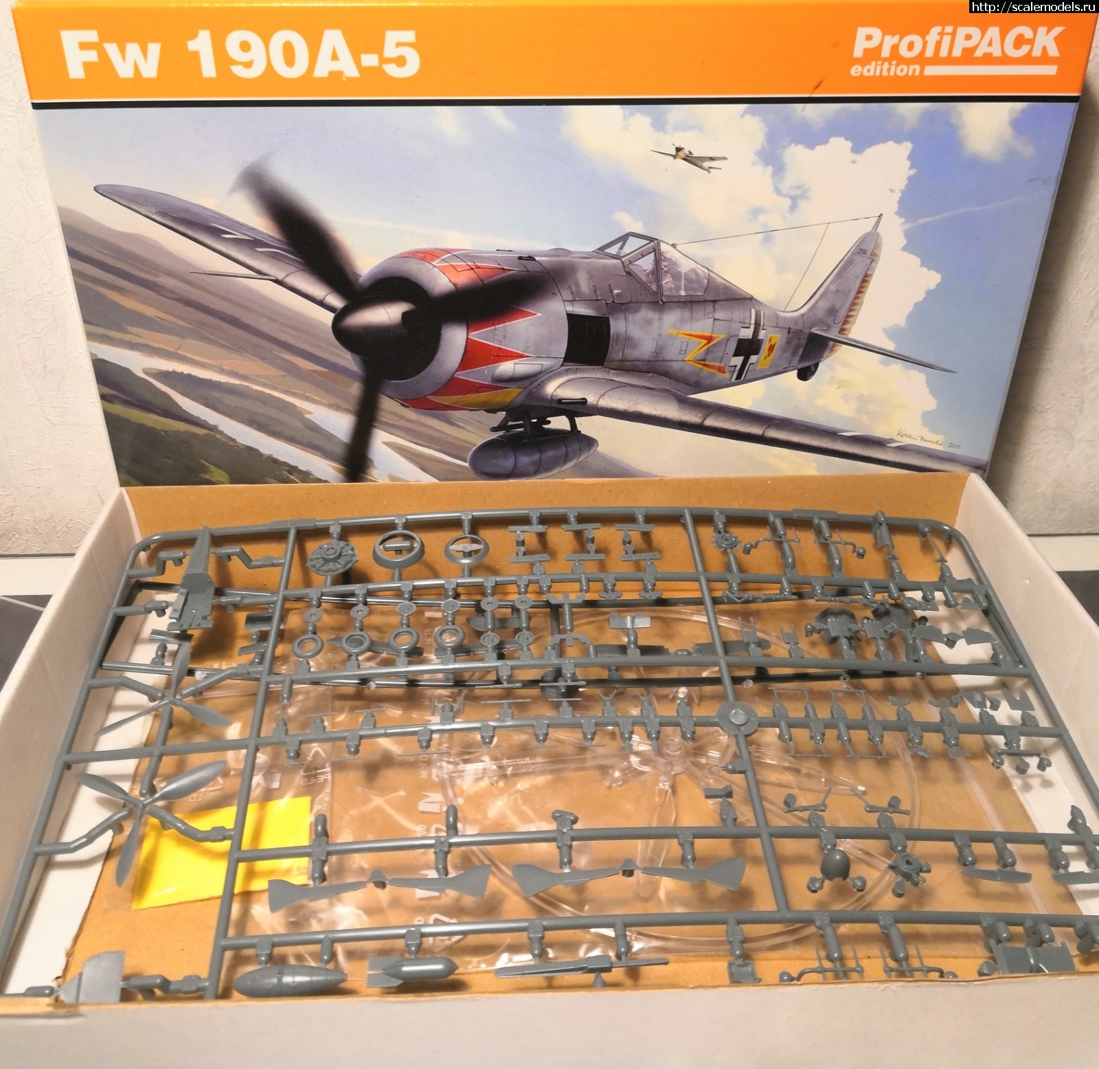 1601014308_IMG_20200925_110627.jpg : Fw-190 a-5 (Eduard) 1/72 ������. ������� ����