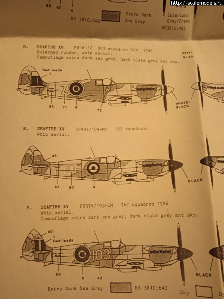 1603184313_IMG-20201019-WA0012.jpg : #1647335/ Bearpest 1/72   