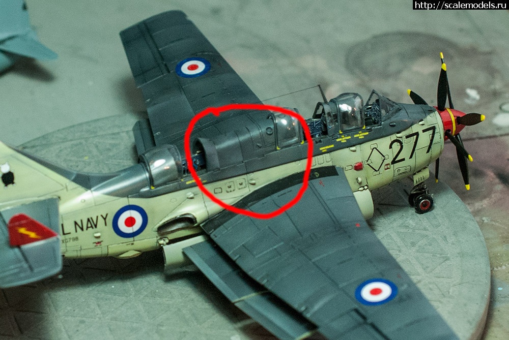 1603964849_DSC_3323.jpg : #1648627/ Revell 1/72 Fairey Gannet ECM.Mk.6.(#14573) -   