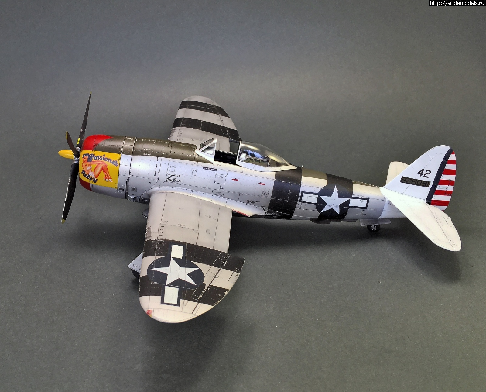 1605804577_IMG_5533.JPG : #1652351/ Tamiya 1/48 P-47D.Thunderbolt.   . 2.  