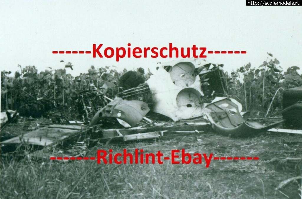 1607693082_220403.jpg : #1656802/ -153 "" -     