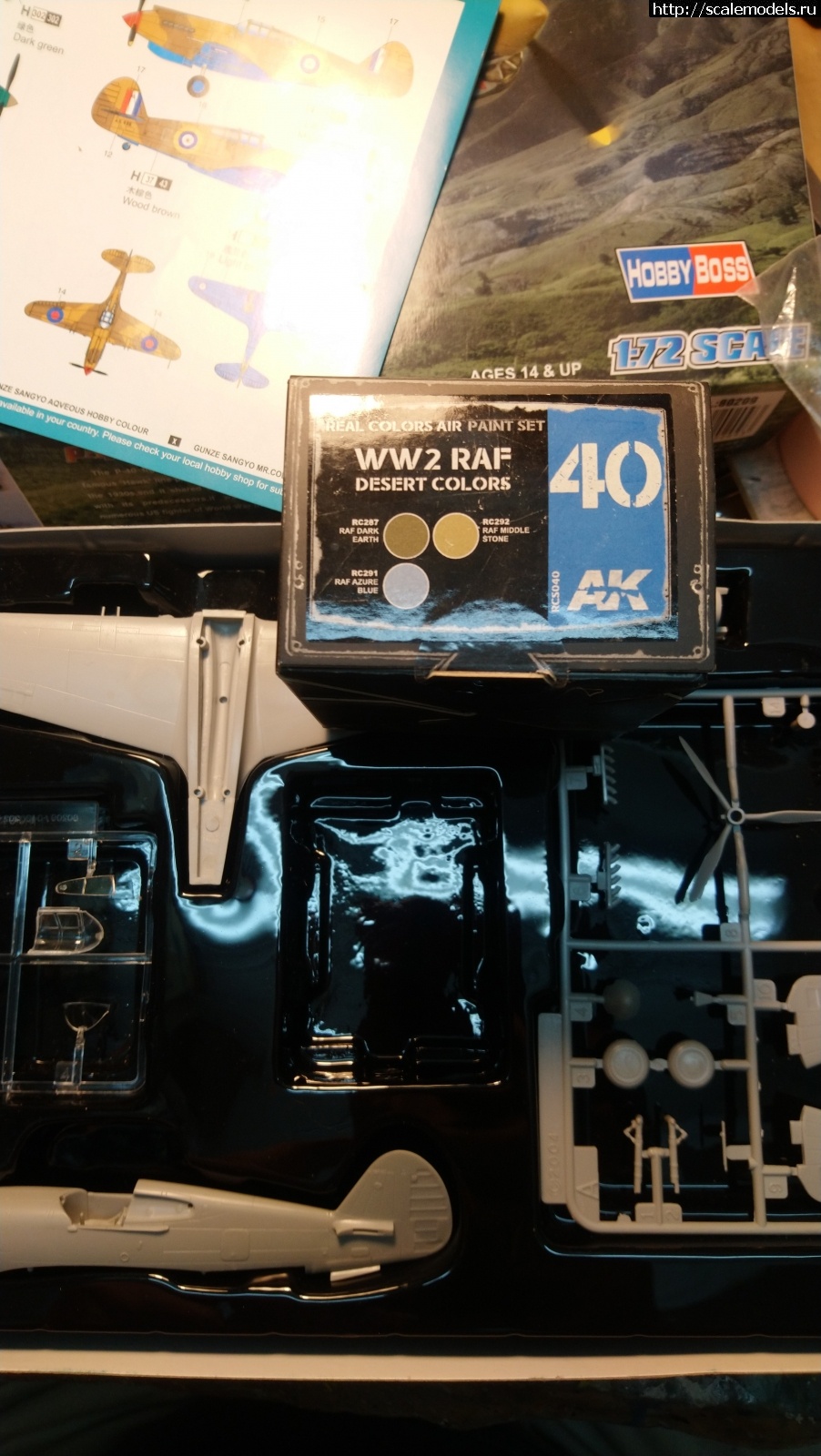 1611341584_DSC_1166.JPG : Tomahawk IIa 1/72 Hobby Boss   