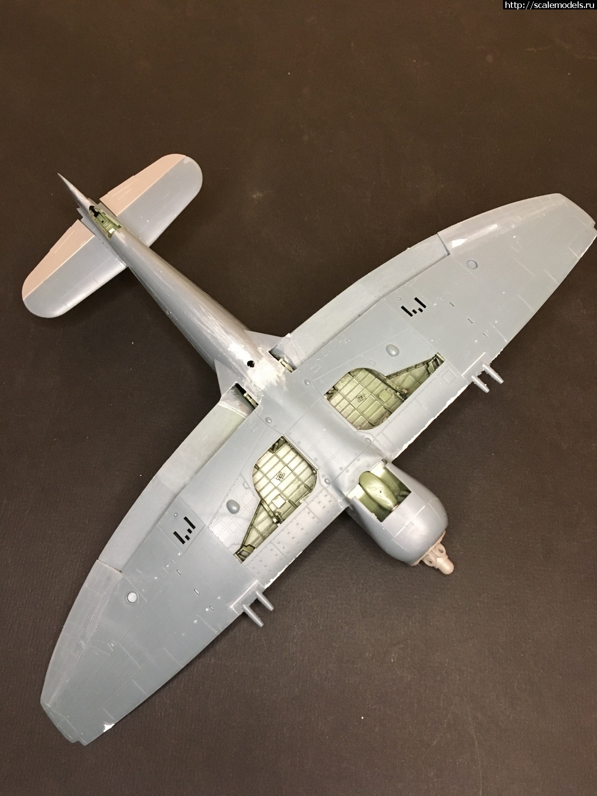 1611518745_A01B4167-4A8F-4294-8BD1-BD99B1E93B01.jpeg : #1665880/ Tempest Mk.V, Eduard 1/48. .  