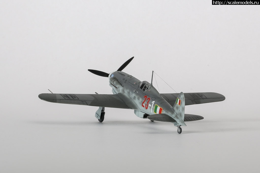 1612645875_1607804781_235B4011.jpg :  1/72      