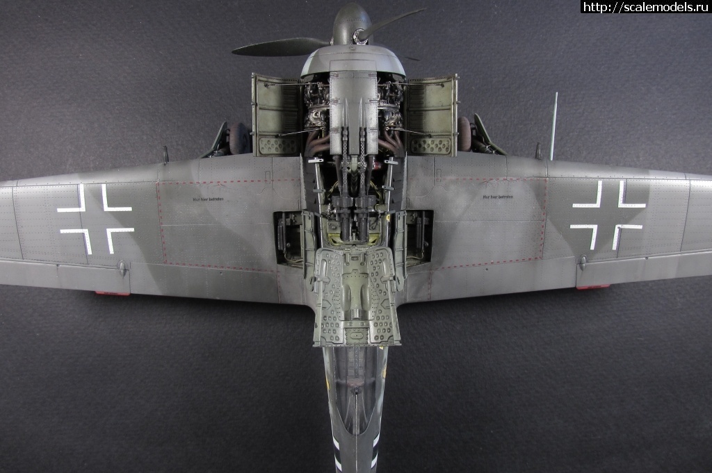 1612647569_1612626544_012.jpg : ����������� 1/48 ������������� ��������� � ��� ������� ����