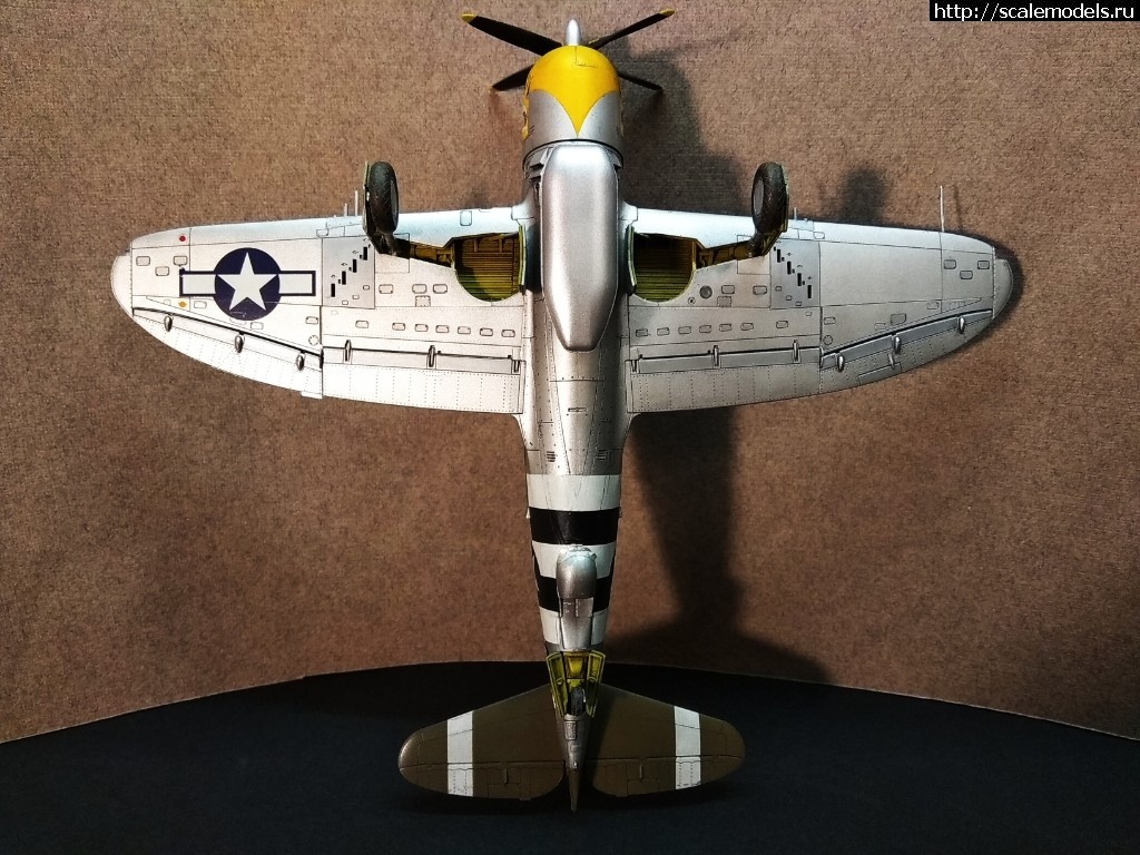 1612982539_------.jpg :      72  