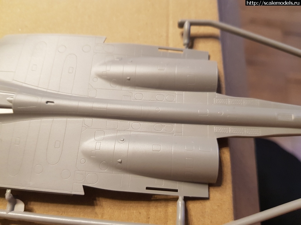 1613643209_20210218_124916.jpg : #1670812/ ����� ��-33 �� ������(#10538) - ���������� ������� ����