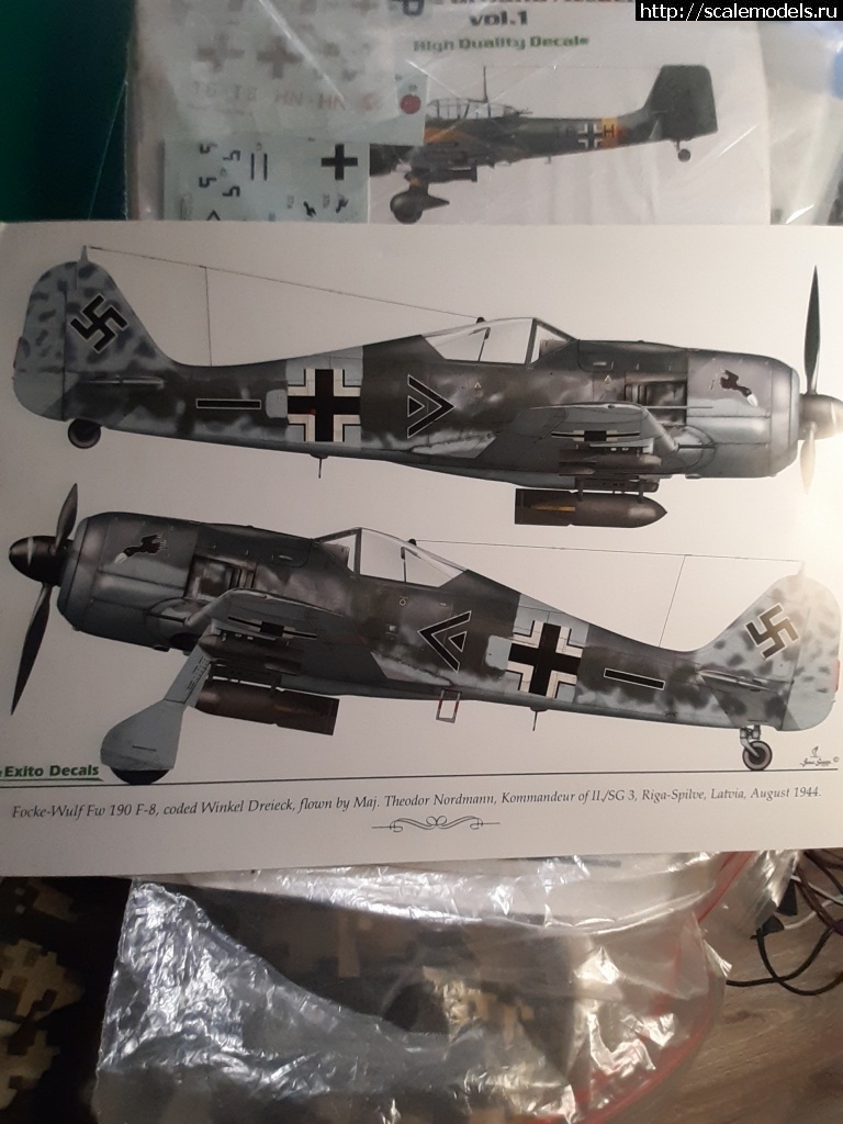 1615238106_20210308_235439.jpg : Eduard 1/72 FW-190 F-8  
