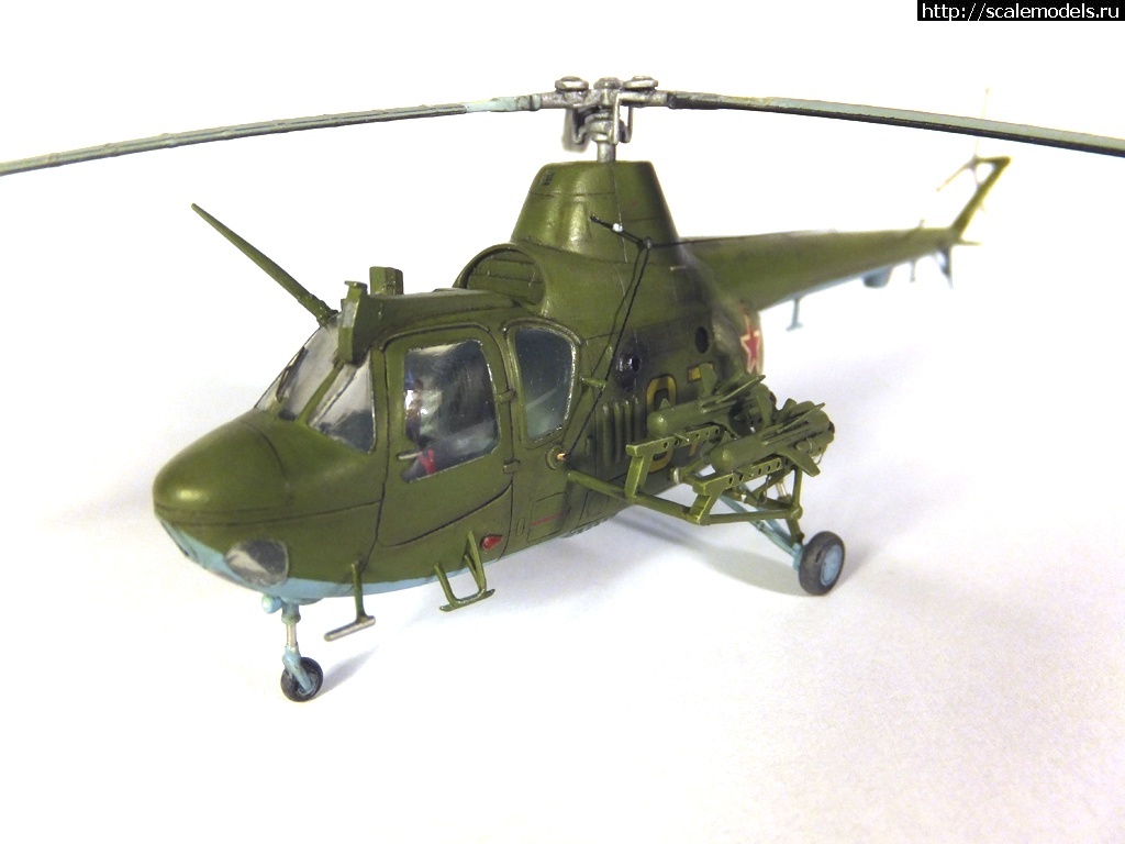 1615326889_1603890782_5.jpg :    -5 -  1/72  