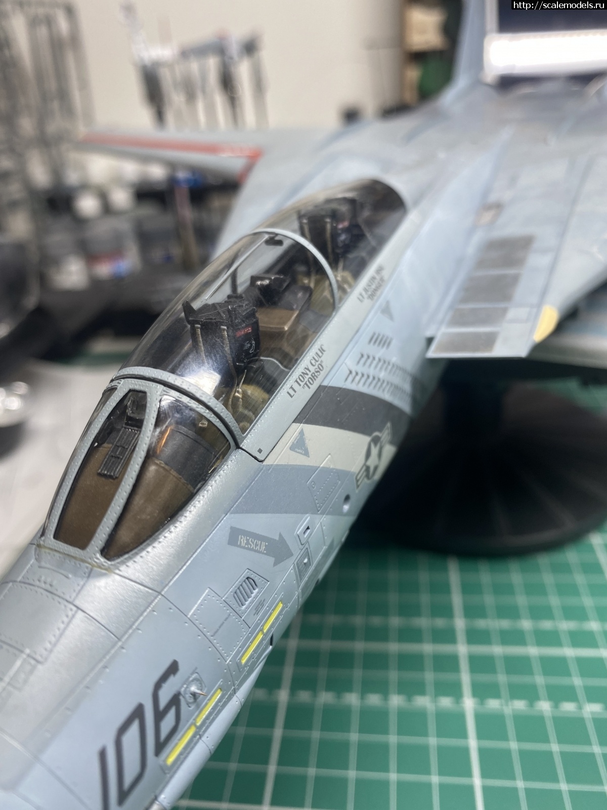 1617146299_845F12BE-2E68-4736-8298-8C4053E2E49C.jpeg : #1678194/ F-14D Super Tomcat 1/48 AMK .  