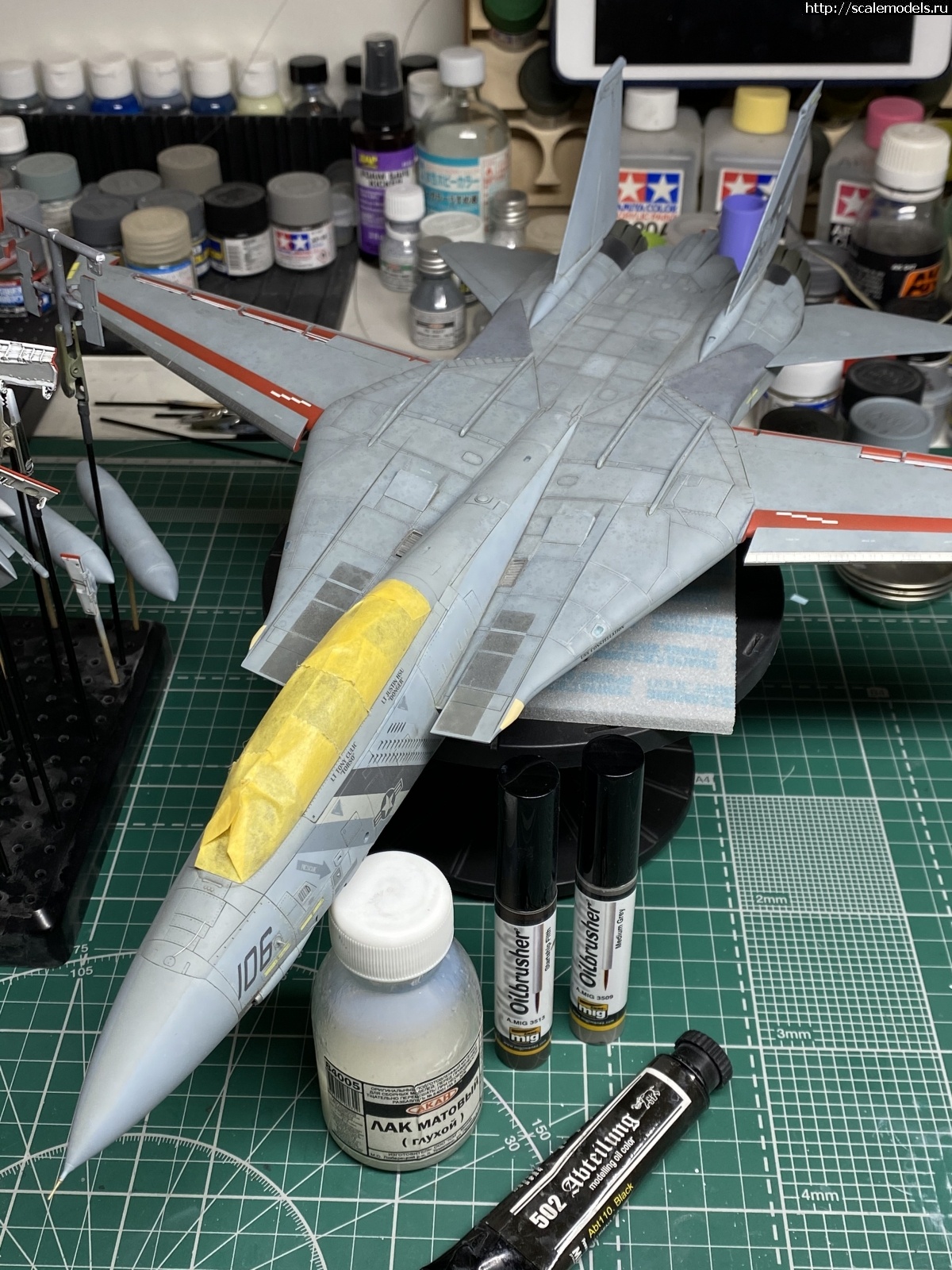 1618162863_97CDB651-C9A3-4CB2-B493-ED4CDB677CC5.jpeg : #1680177/ F-14D Super Tomcat 1/48 AMK .  