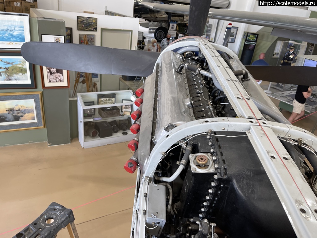 1618930162_5906EE0F-B659-4A24-A49B-AAACB7BBE992_1_105_c.jpeg : Walk Around P51D-5N-NE Mustang  