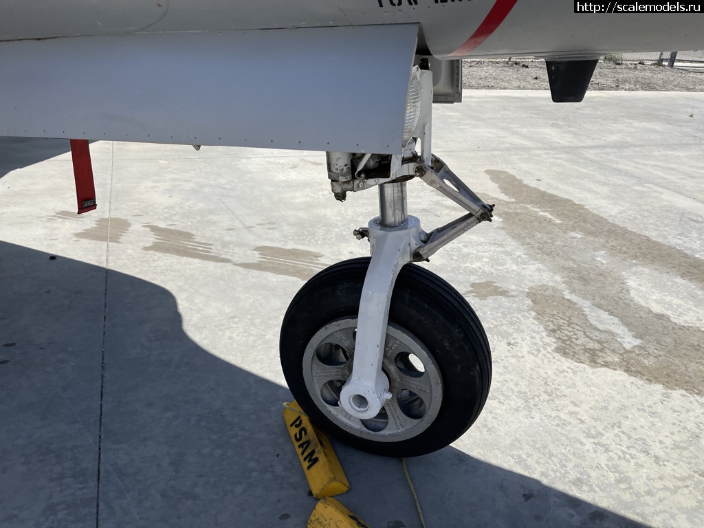 1619019609_FA95D448-B187-486F-AD96-D6E0BB158E9A_1_105_c.jpeg : Walk Around Lockheed T-33 Shooting Star  