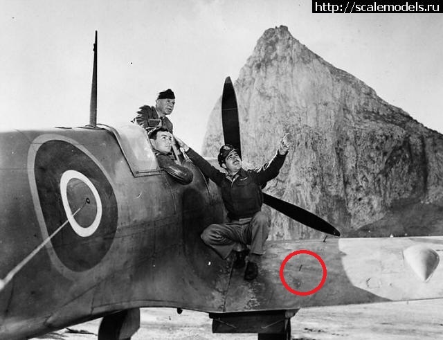 1631355764_usaaf-spitfire-in-gibraltar-748923.jpg : #1702514/ Supermarine Spitfire Mk.Vb, Tamiya, 1/48 ������! ������� ����