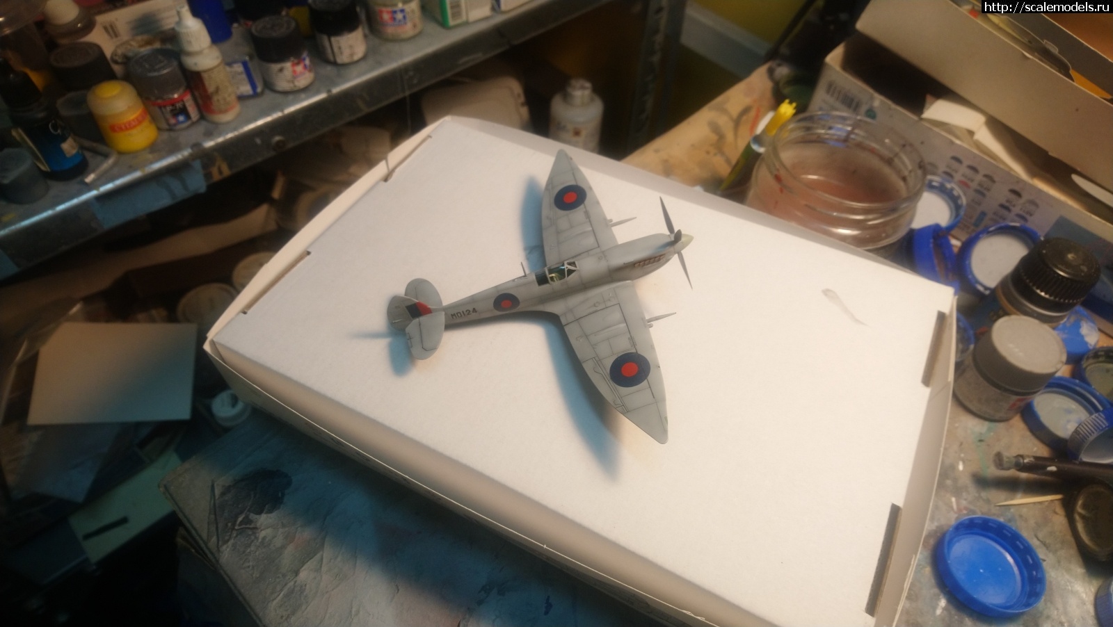 1635274920_DSC_0116.JPG : #1708751/ Spitfire Mk.VII "Long wing" Hasegawa 1/72   