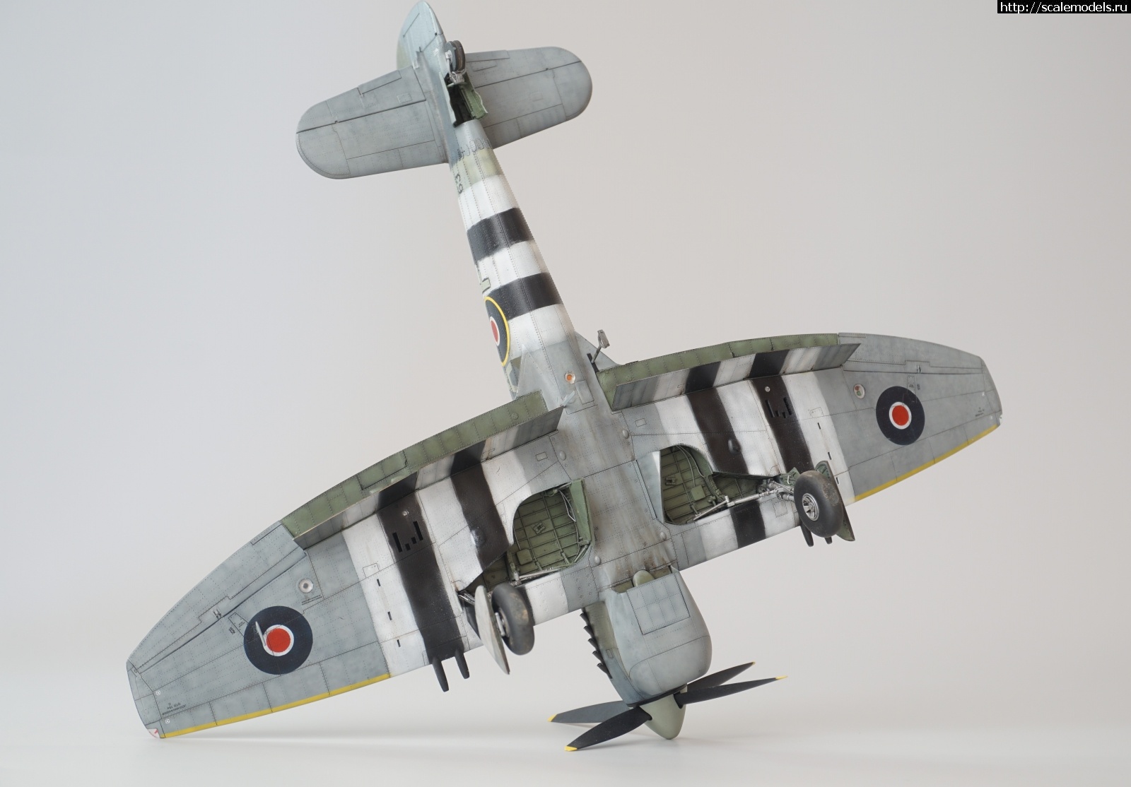 1636447235_DSC01234.JPG : #1710609/ Tempest Mk.V, Eduard 1/48. .  