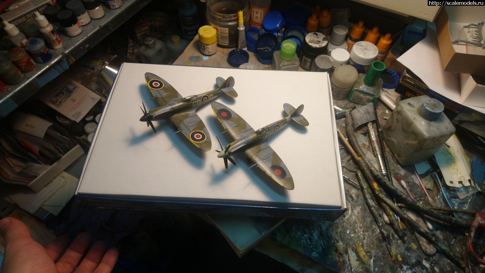 1640319664_DSC_0258.JPG : #1718139/ Spitfire Mk. XIVE 1/72 Sword   