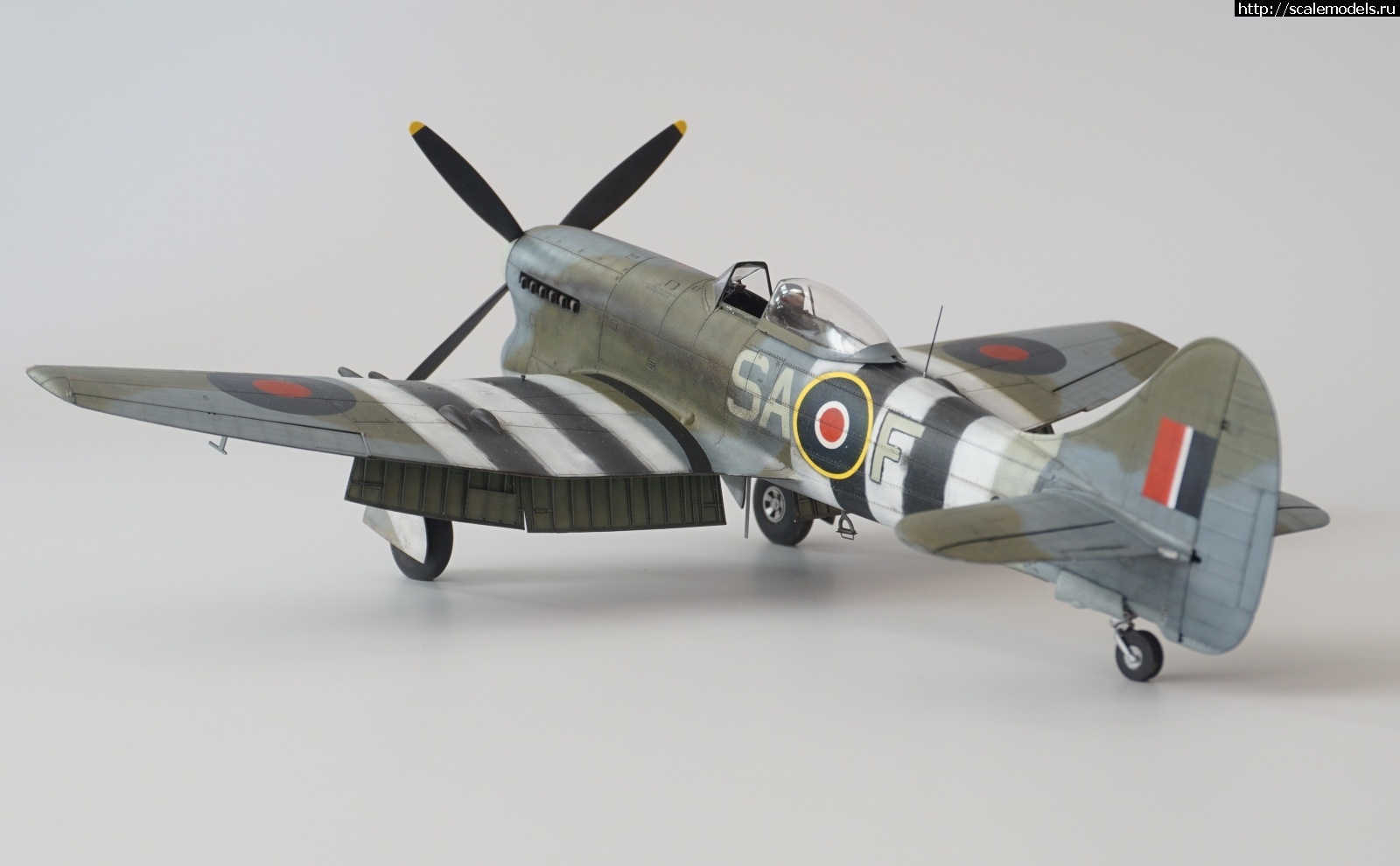 1642443155_1636447134_DSC01216.jpg :   -3,  1/48   