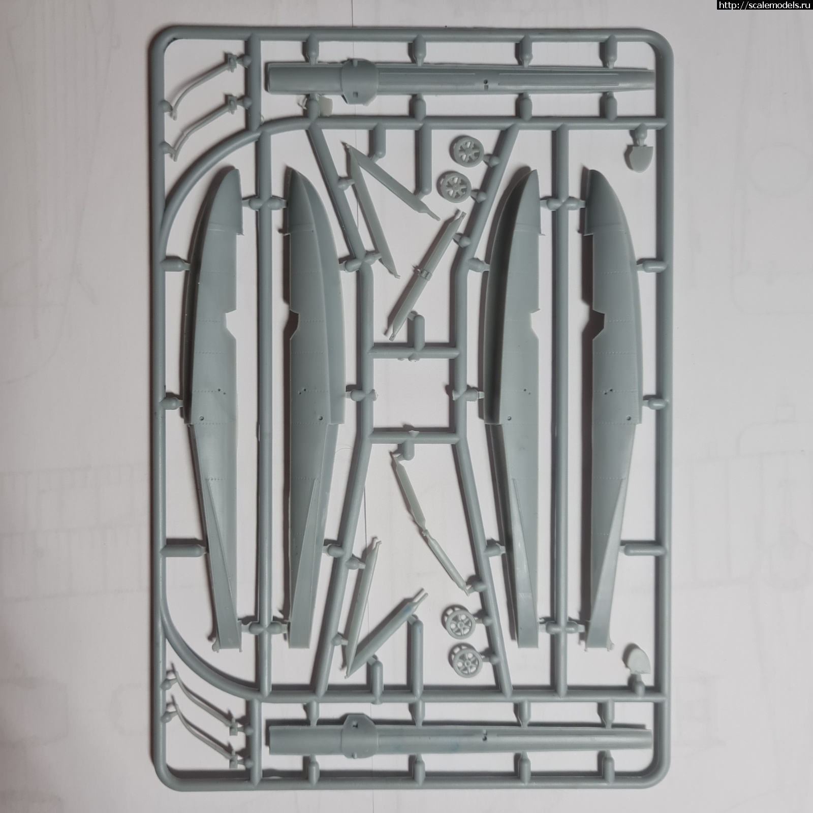 1642665854_20220120_093556.jpg : ������ Armory Fairey Flycatcher floatplane 1/48 ��������� ������� ����