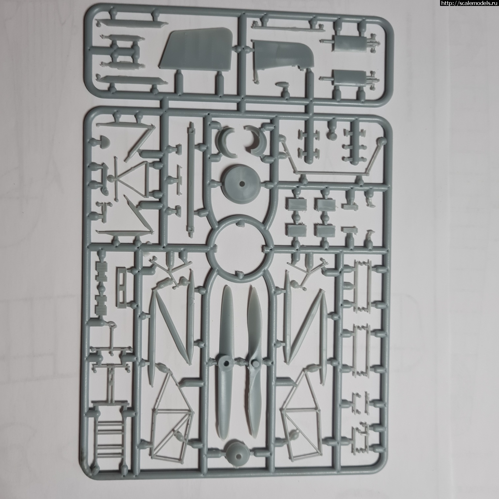 1642665862_20220120_093612.jpg : ������ Armory Fairey Flycatcher floatplane 1/48 ��������� ������� ����