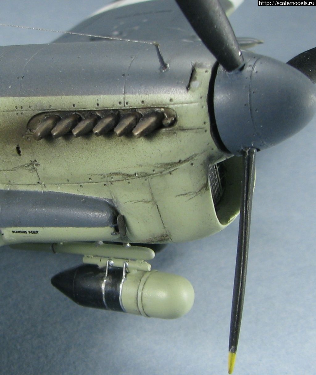 1645482430_1643039491_39.jpg :      -  1/72  