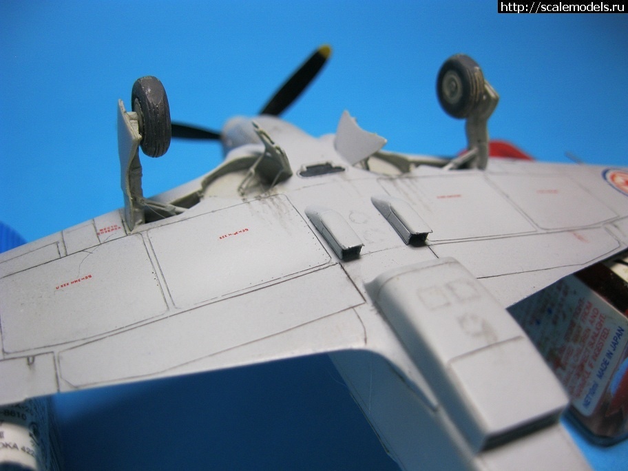 1645482635_1638614376_IMG_7882.jpg :      -  1/72  