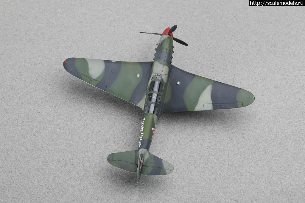 1654119187_235B9768.JPG :  -   - 6,  1/72   