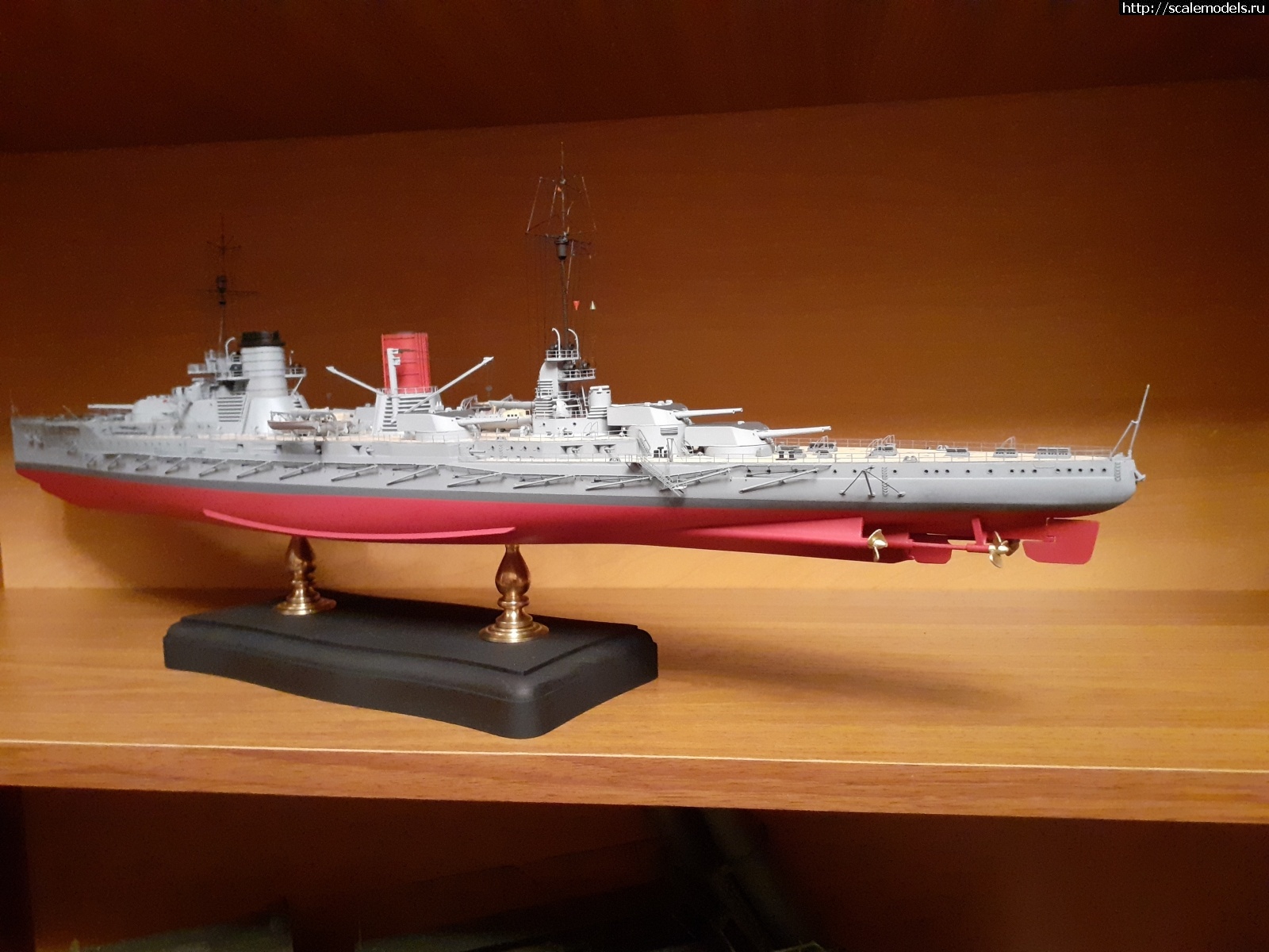 1665774950_20221014_214010.jpg : #1757387/ ���������� �������� ������� Seydlitz + ������ Infini-model ������� ����