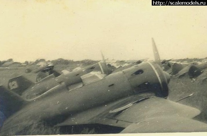 1668721575_IMG_3034.JPG : #1761269/ ������������� �������� � �������� ������� 13 ������� ����