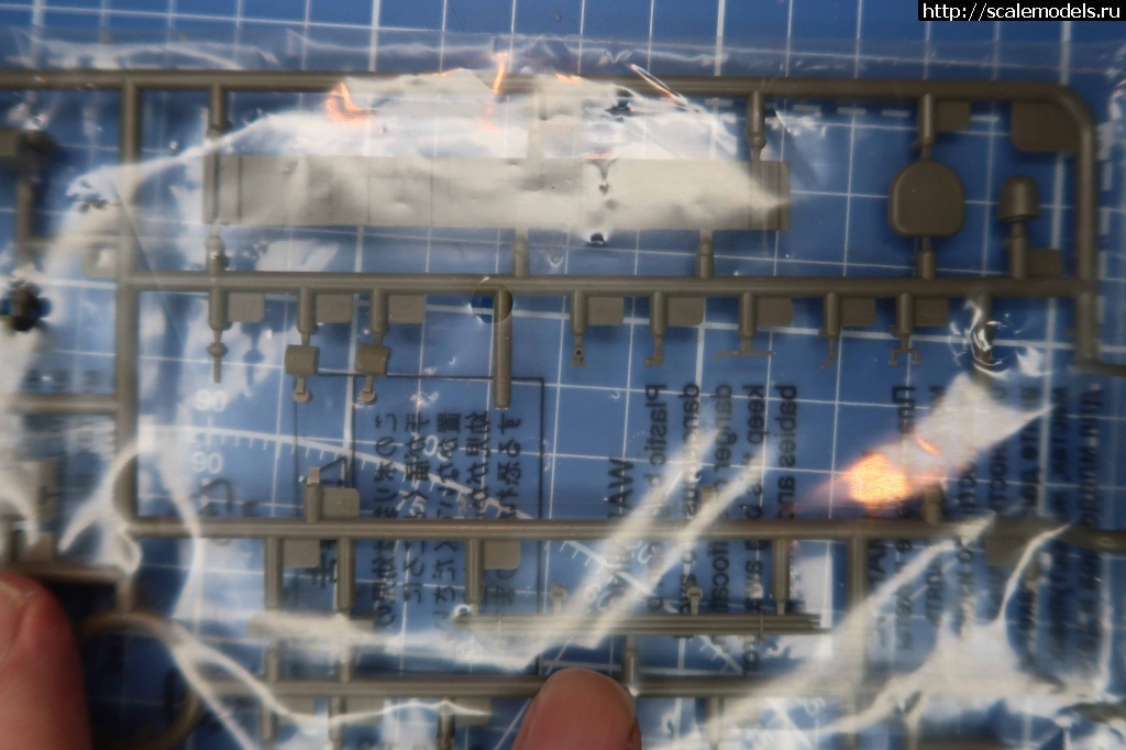 1670081786_IMG_0547-_1jpg.jpg :   -       