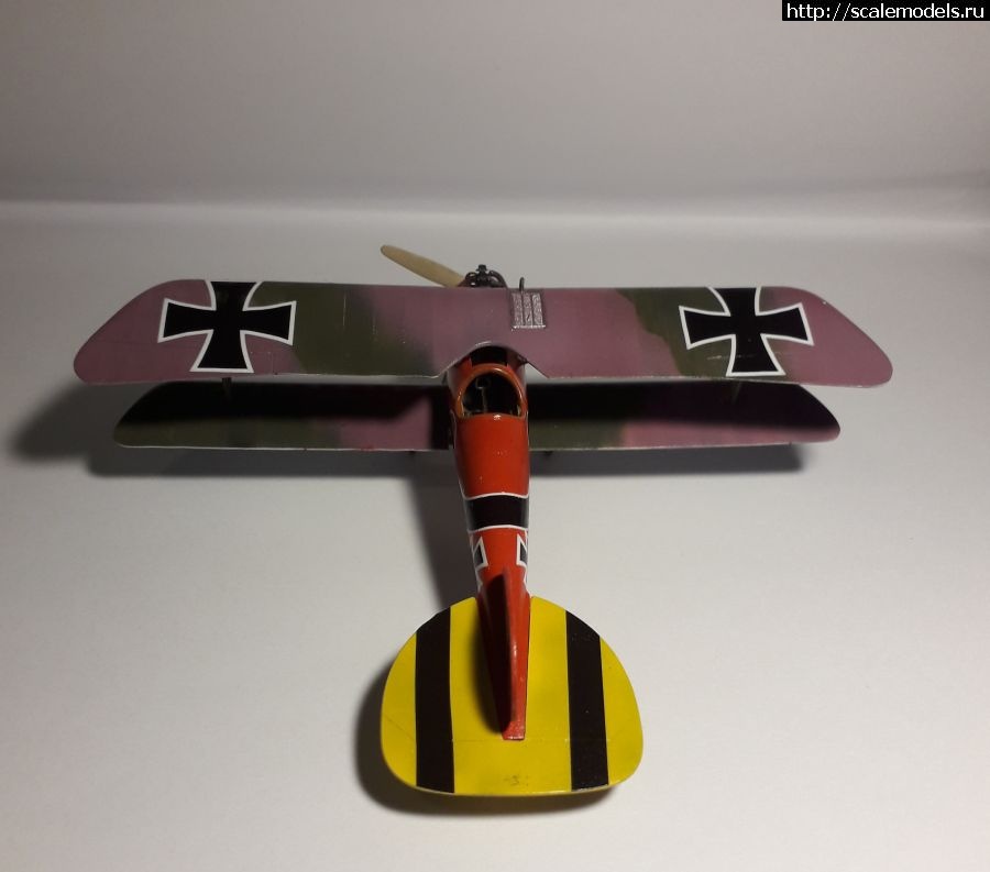 1673019585_albatros6.jpg : #1768067/ Albatros D.V. Eduard 1:72 ��������� ������ ������� ����